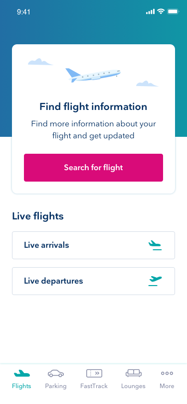 Main flight information screen